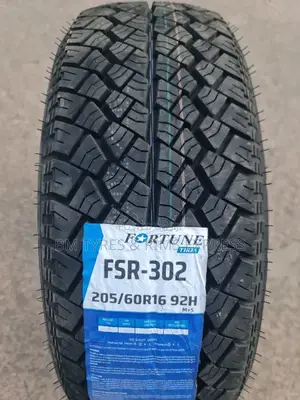 205 /60 R16 Fortune.