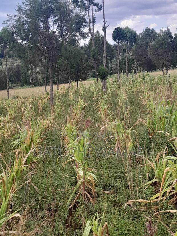 5 Acres Land for Sale in Nanyuki - main view