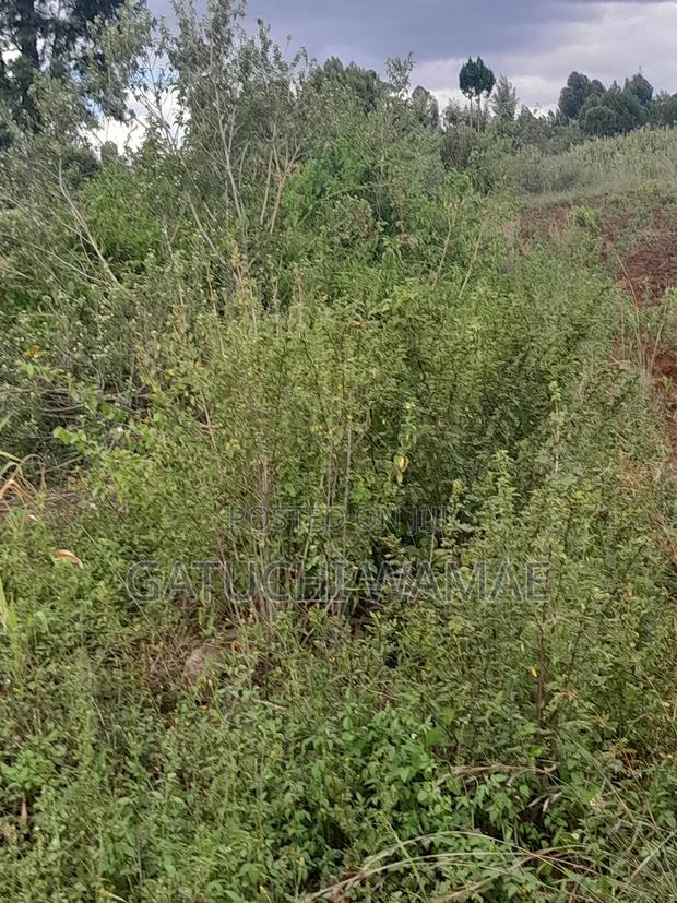 5 Acres Land for Sale in Nanyuki - thumbnail 3