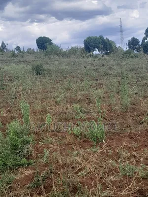 5 Acres Land for Sale in Nanyuki