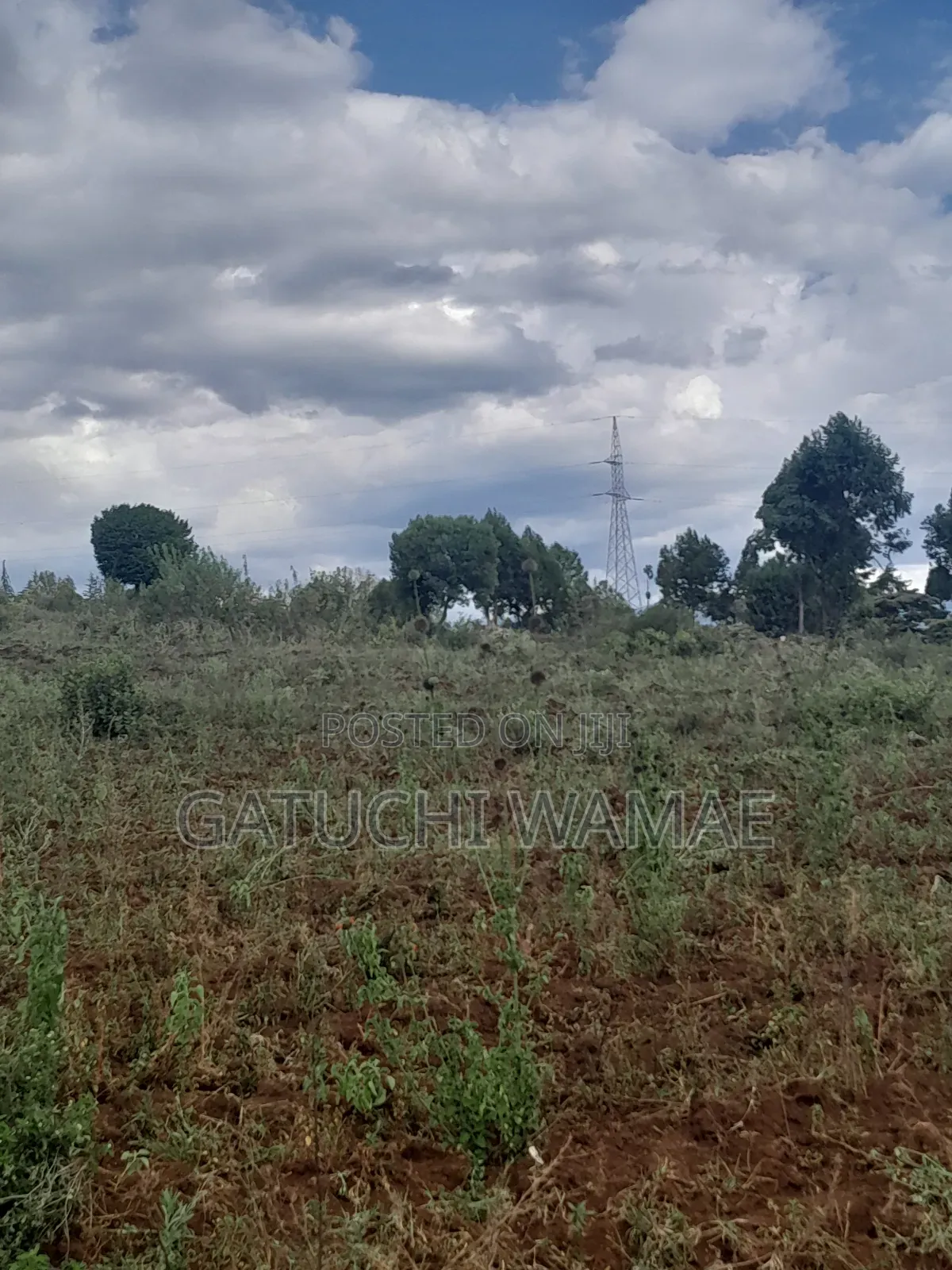 5 Acres Land for Sale in Nanyuki