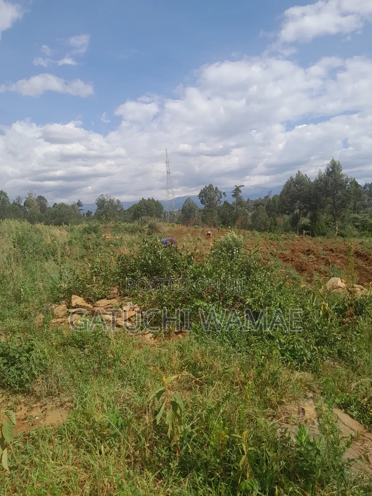 5 Acres Land for Sale in Nanyuki