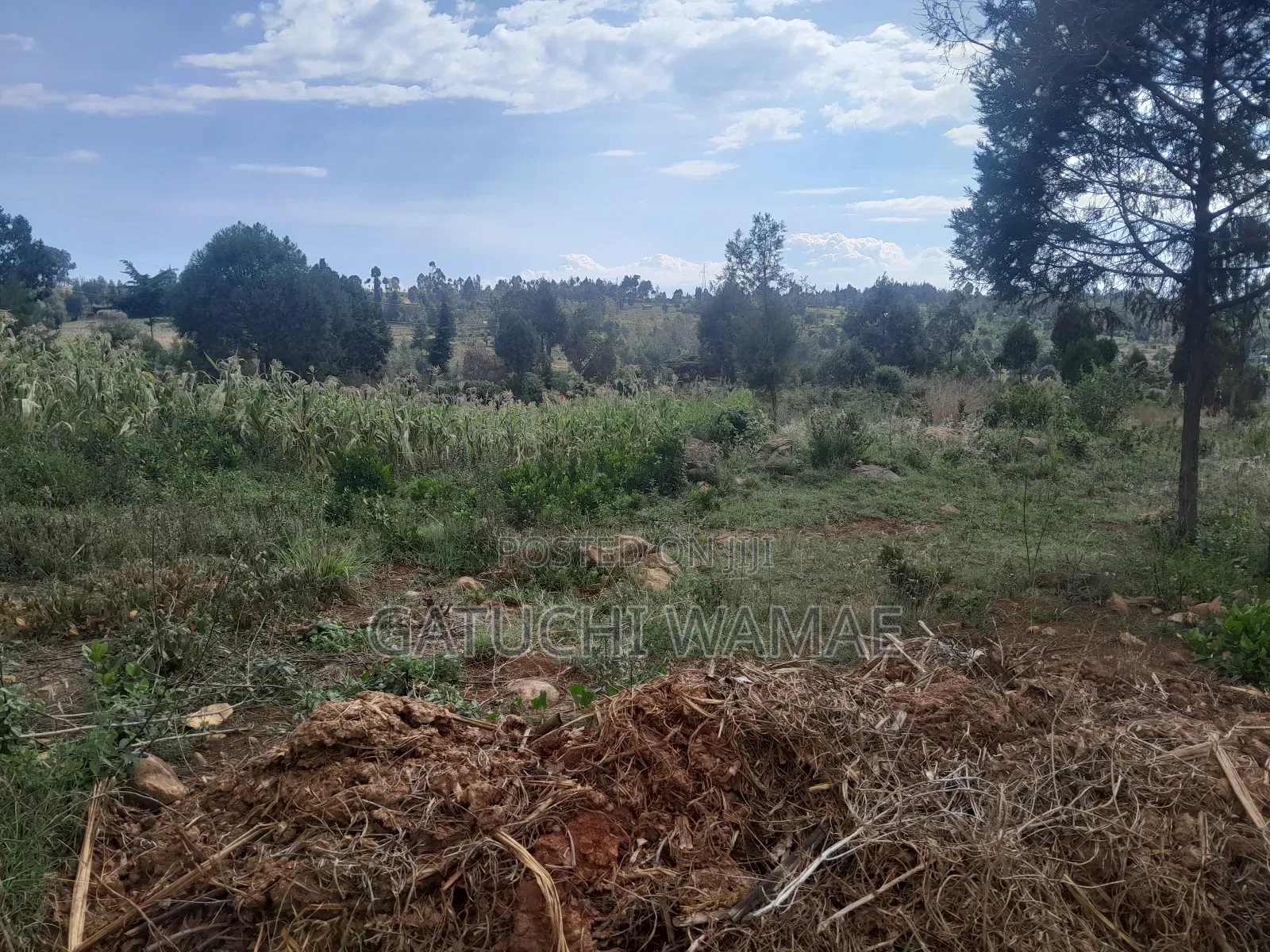 5 Acres Land for Sale in Nanyuki