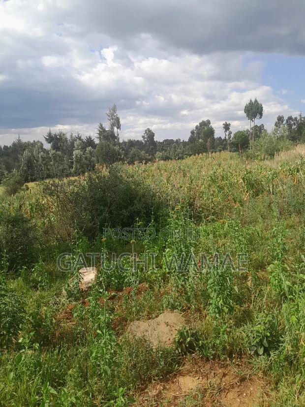 5 Acres Land for Sale in Nanyuki - thumbnail 8