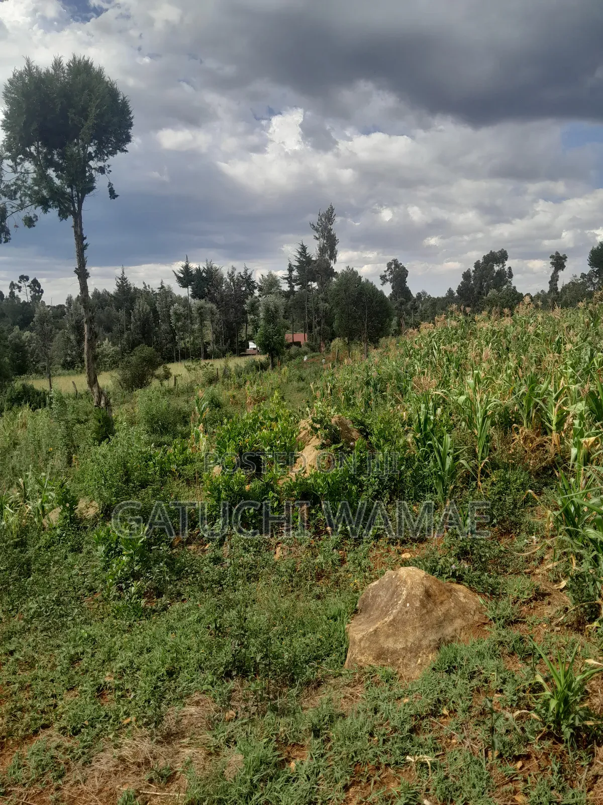 5 Acres Land for Sale in Nanyuki