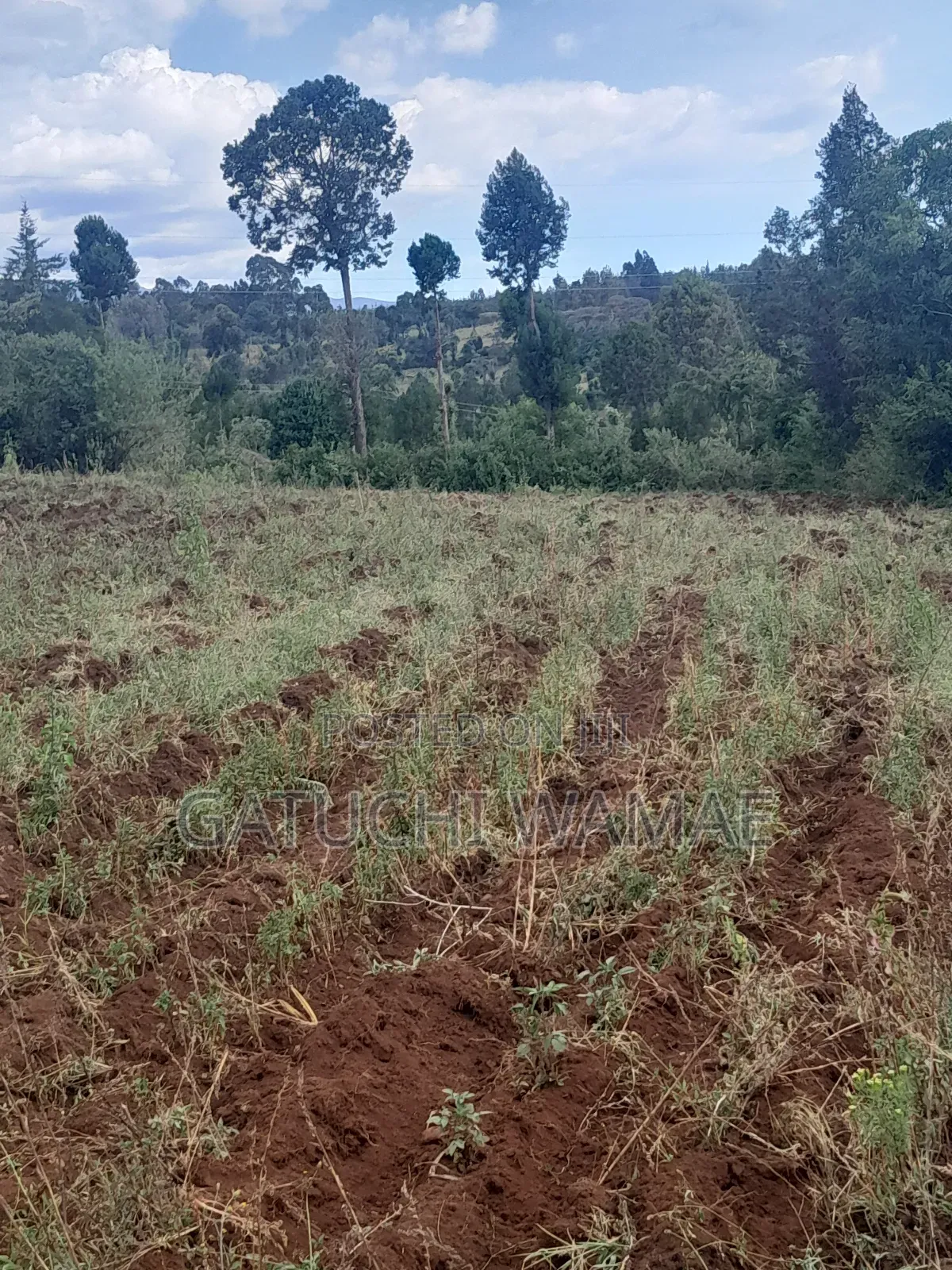 5 Acres Land for Sale in Nanyuki