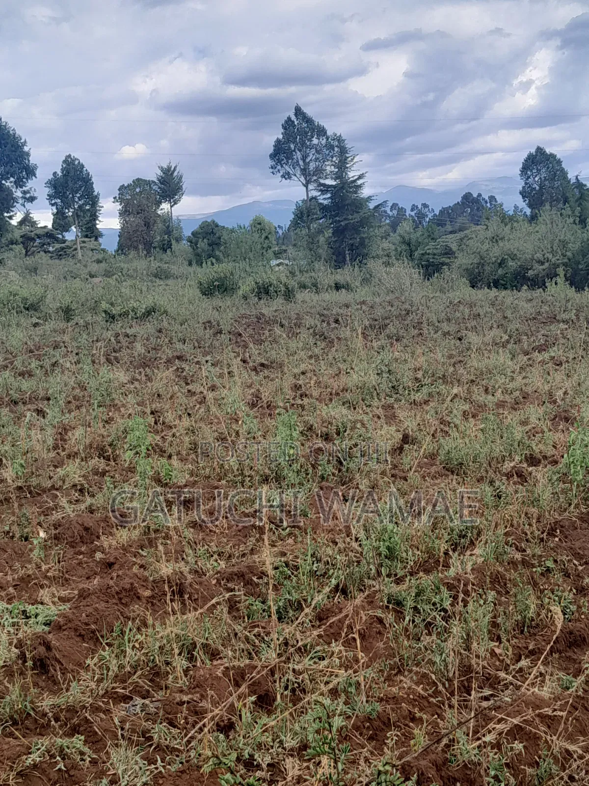 5 Acres Land for Sale in Nanyuki