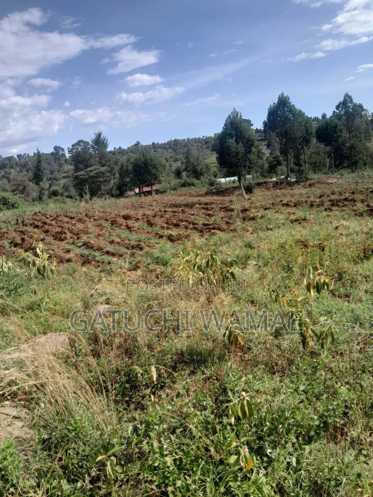5 Acres Land for Sale in Nanyuki