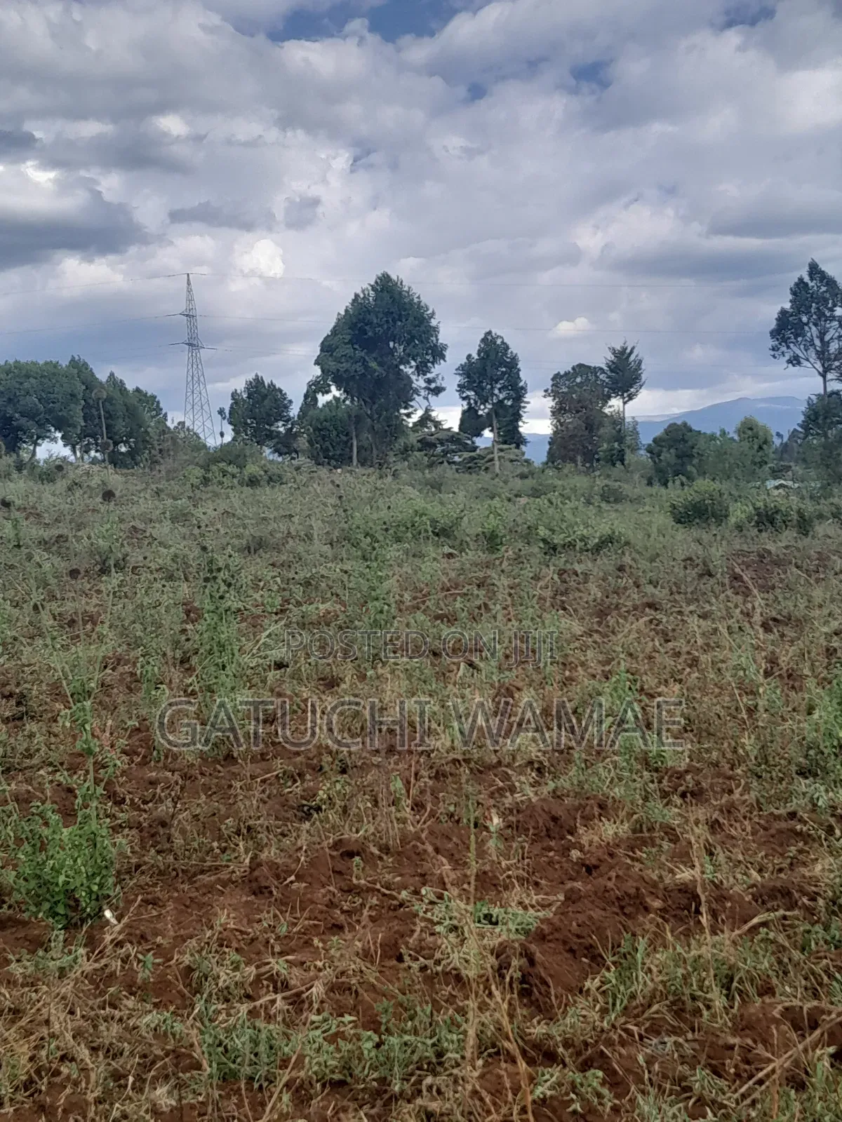 5 Acres Land for Sale in Nanyuki