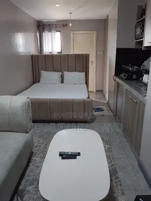 Studio Air BNB at Tsavo Fedha