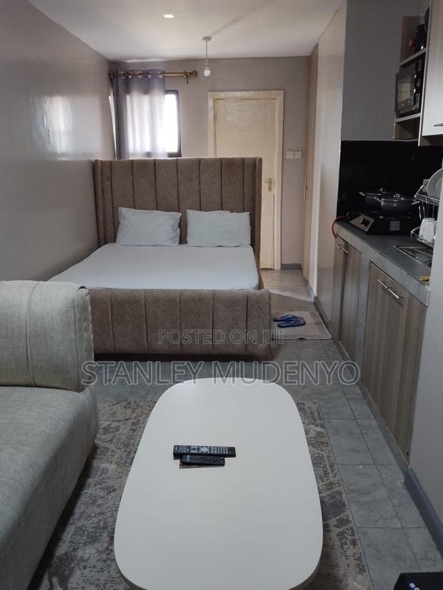 Studio Air BNB at Tsavo Fedha - thumbnail 6