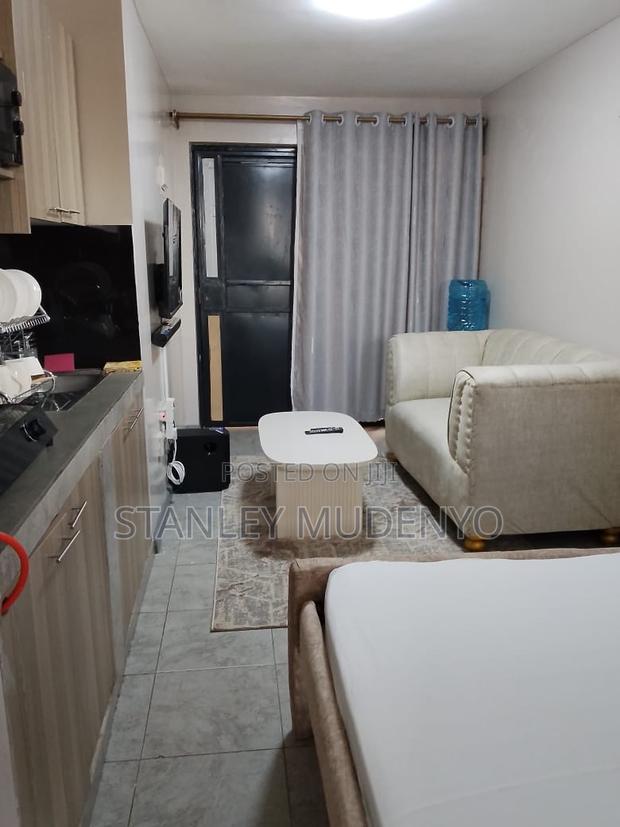 Studio Air BNB at Tsavo Fedha - thumbnail 7