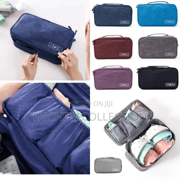 Portable Undergarments Organizer Bags - thumbnail 2