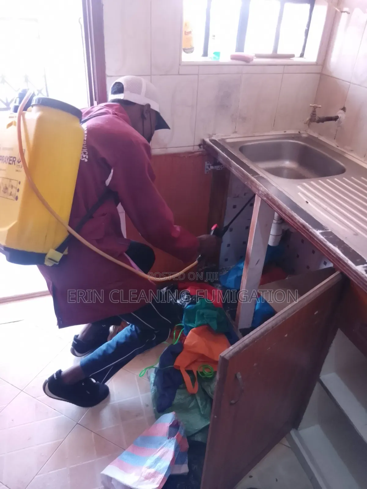 Cockroaches in Cleaning