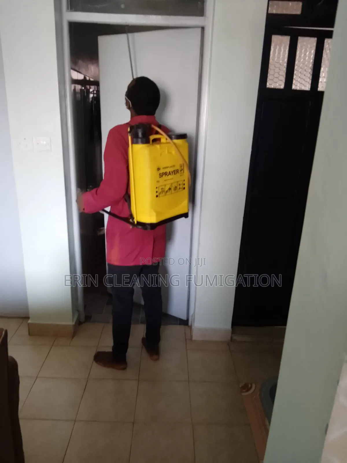 Cockroaches and Bedbugs Elimination Fumigation