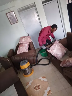 Experienced Sofa and General House Cleaning