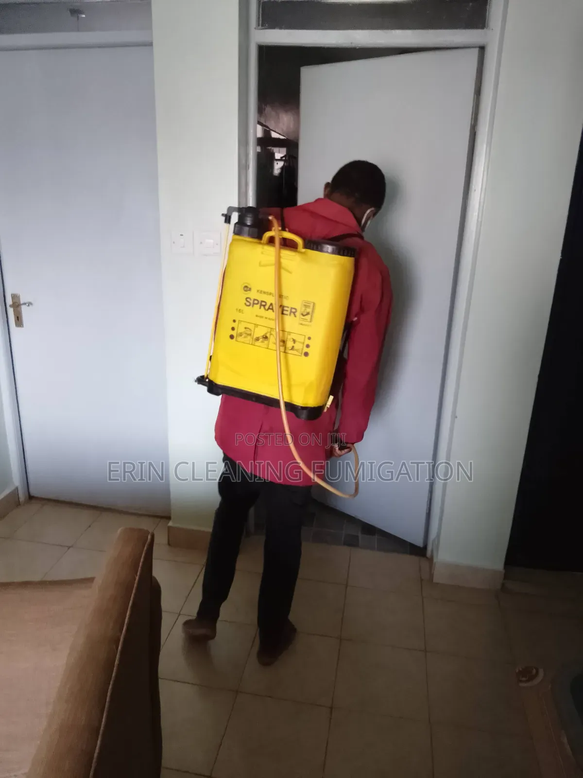 Cheap Super Cockroaches and Bedbugs Services