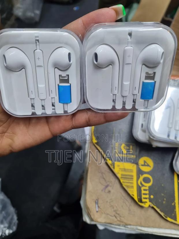 Apple Earphones - main view