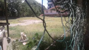 Prime Half Acre Conner Plot in Kizingo