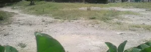 Prime Half Acre Conner Plot in Kizingo