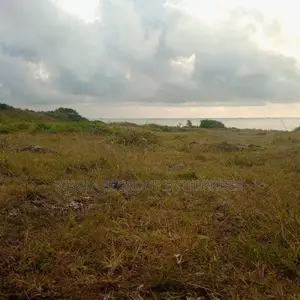 Pungu Vila Beach Plots