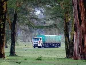 Highsided/Flatbed Trailers for Errands Are Readily Available