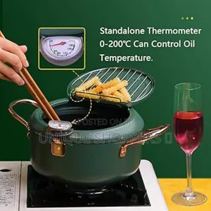 Nordic Green 3.4l Frying Pot With Thermometer and Oil Drain Grill