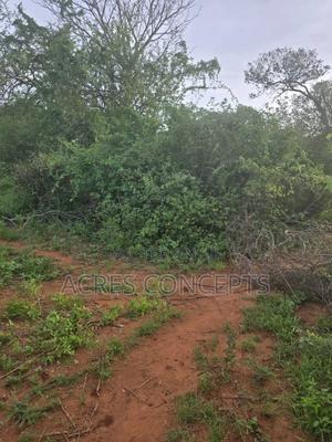 Prime 400 Acres Ranch on Sale - thumbnail 2