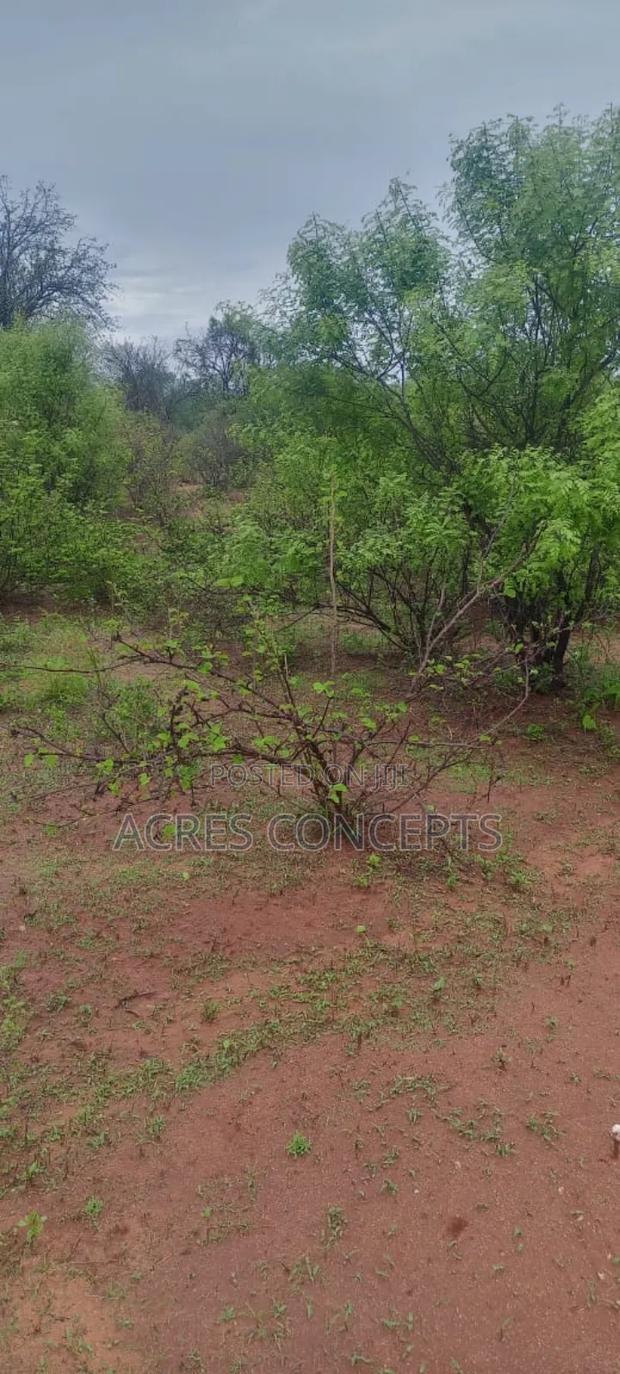 Prime 400 Acres Ranch on Sale - thumbnail 3