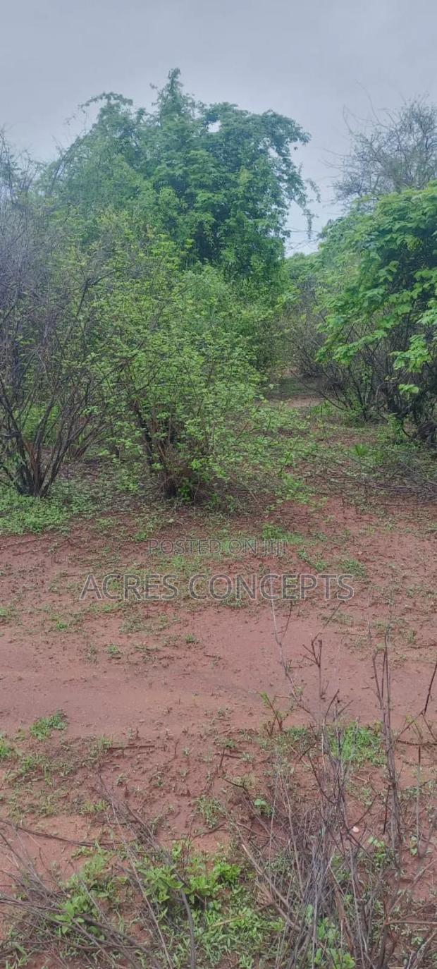 Prime 400 Acres Ranch on Sale - thumbnail 4