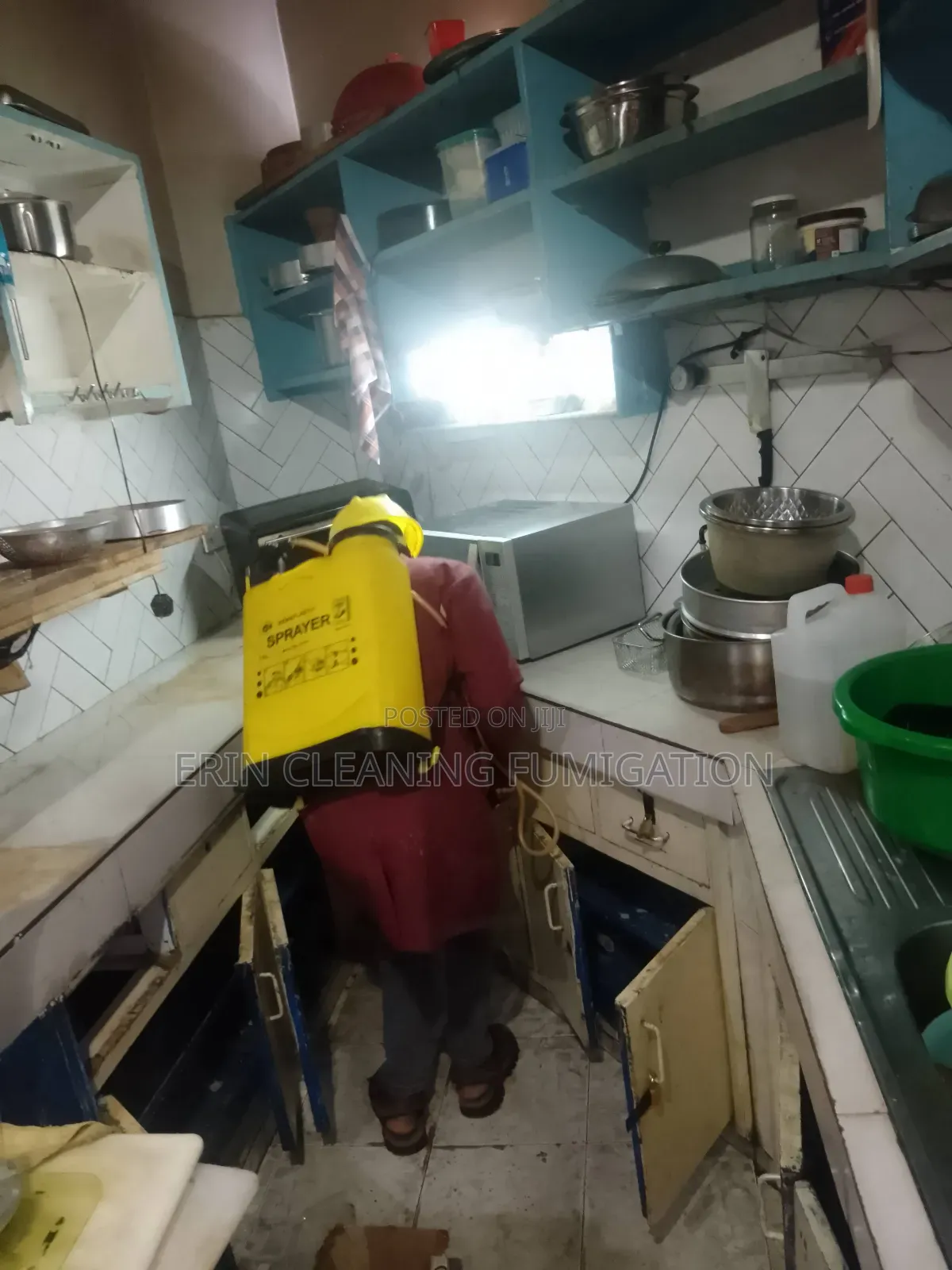 Cockroach and Bedbugs Fumigation
