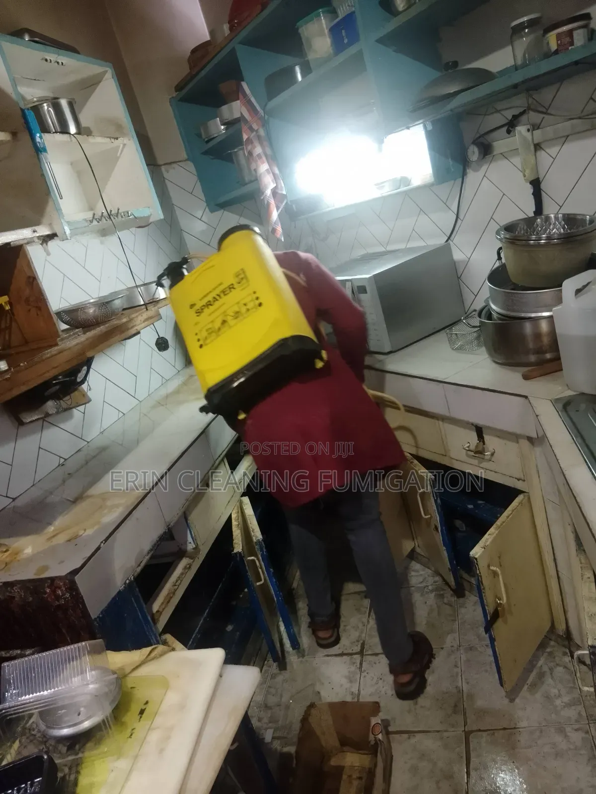 Cockroach and Bedbugs Fumigation