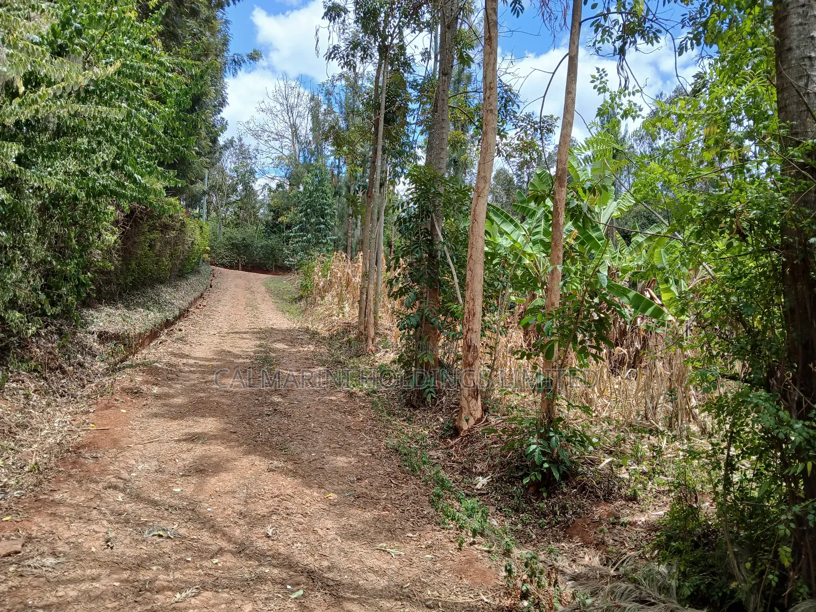 Very Prime Plots in a Gated Community in Karen View Near Ankara Resort