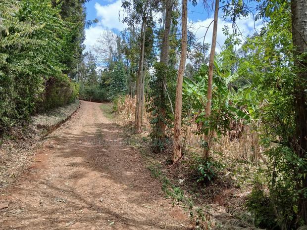 Very Prime Plots in a Gated Community in Karen View Near Ankara Resort - thumbnail 3