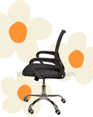 Secretarial Mesh Office Chair (Sleek) — Fast Seller