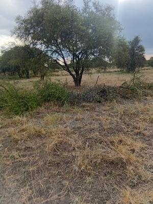 25 Acres At Kitengela Stage 26 Olooloitikoshi - thumbnail 2