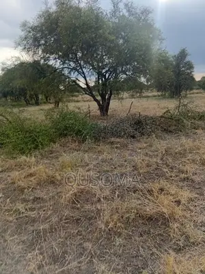 25 Acres At Kitengela Stage 26 Olooloitikoshi