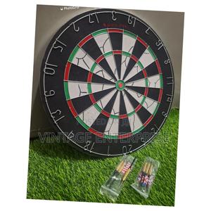 Proffessinal Dart Board - main view