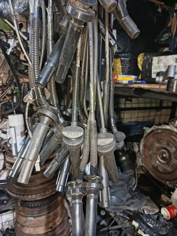 Oxygen Sensors