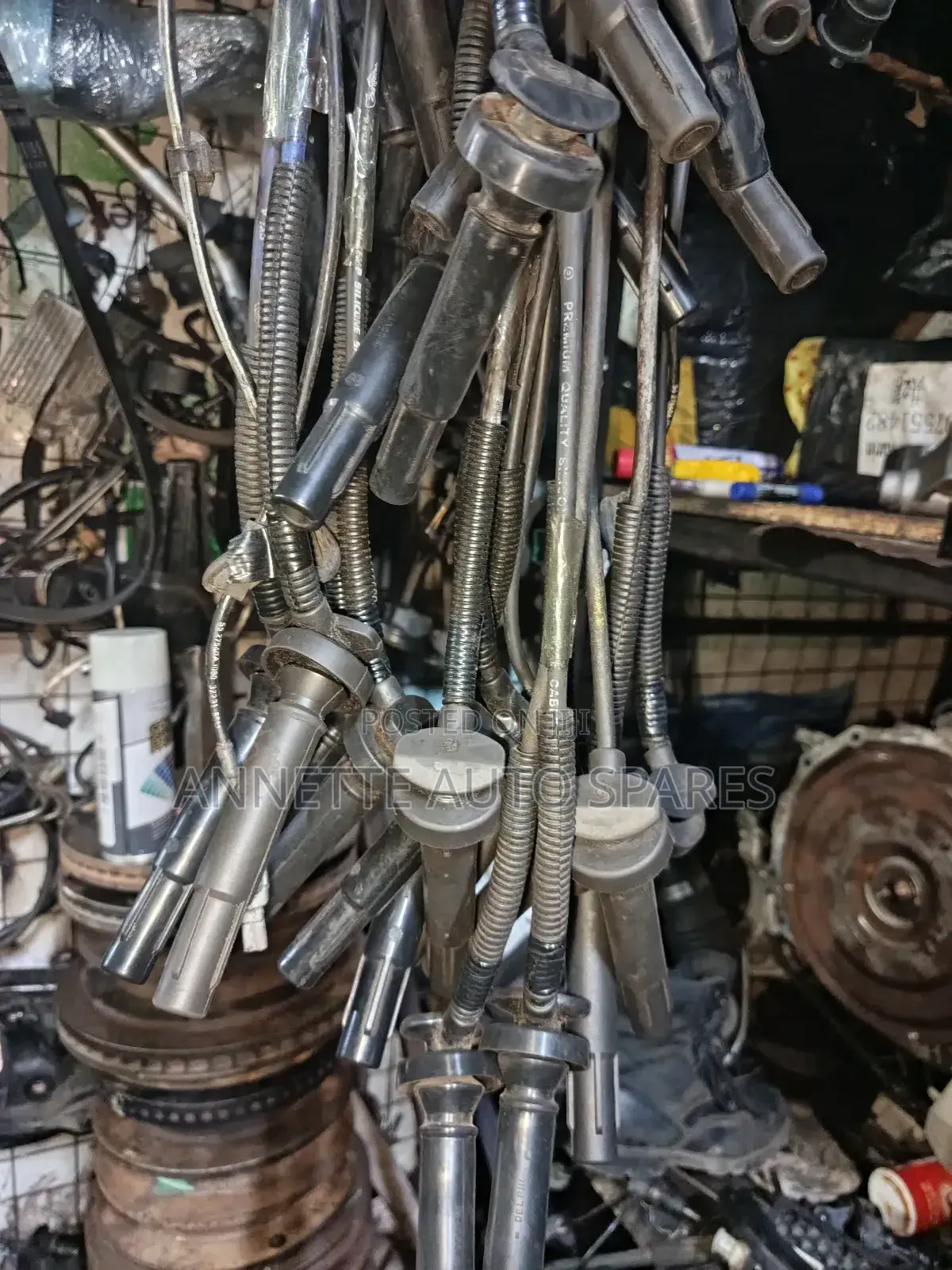 Oxygen Sensors