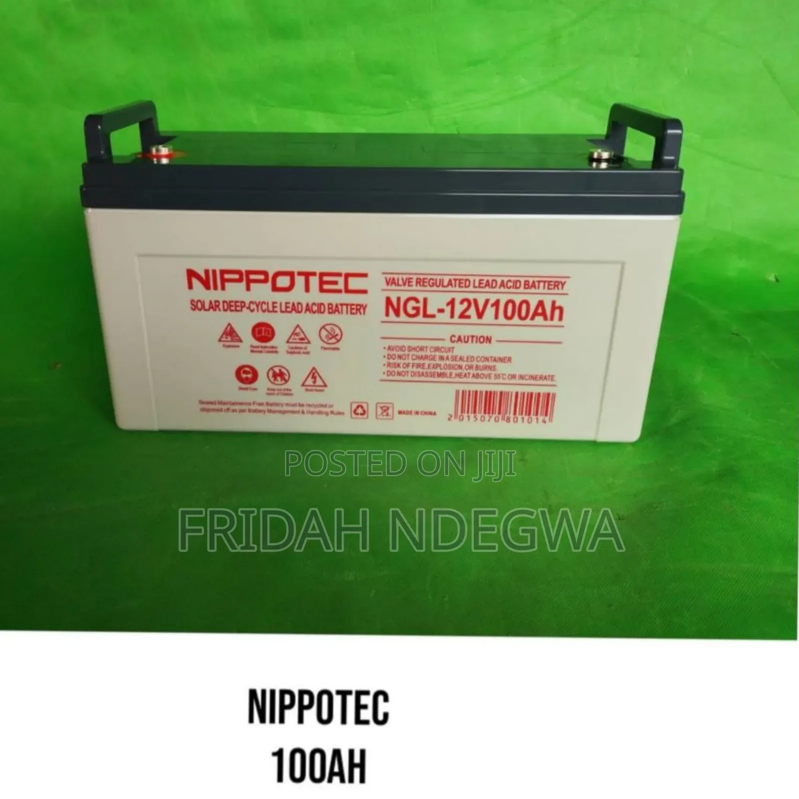 Nippotec 100ah Battery