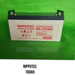 Nippotec 100ah Battery