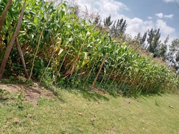 50*100 Njoro Kenyatta - main view