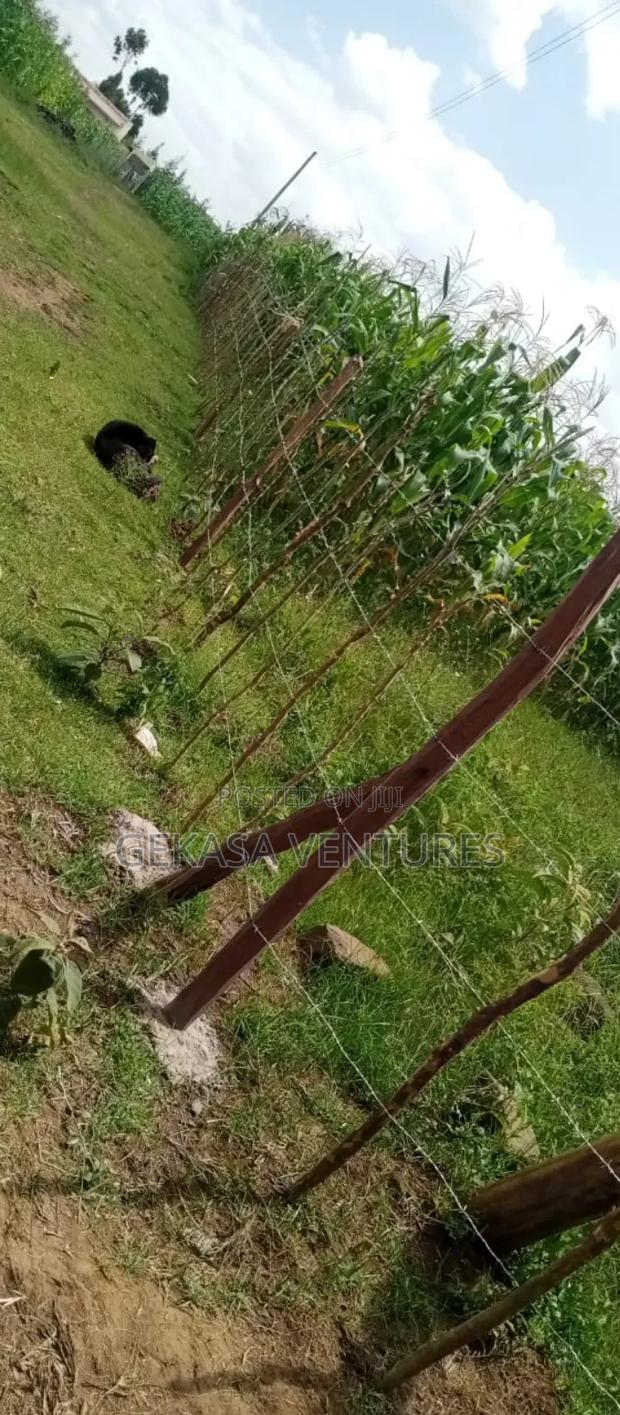 50*100 Njoro Kenyatta - thumbnail 3