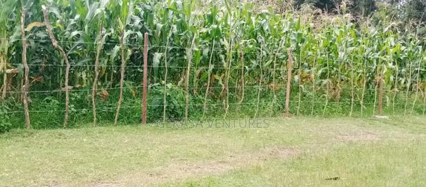 50*100 Njoro Kenyatta - thumbnail 4