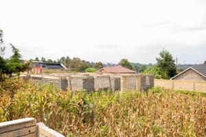 50 by 100ft Prime Residential Plot for Sale in Kikuyu, Kamangu. - thumbnail 2