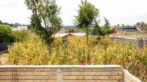 50 by 100ft Prime Residential Plot for Sale in Kikuyu, Kamangu.