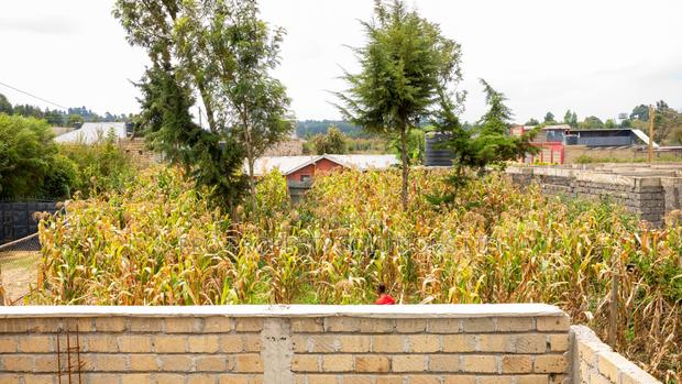 50 by 100ft Prime Residential Plot for Sale in Kikuyu, Kamangu. - thumbnail 6