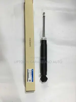 Ford Rear Shocks