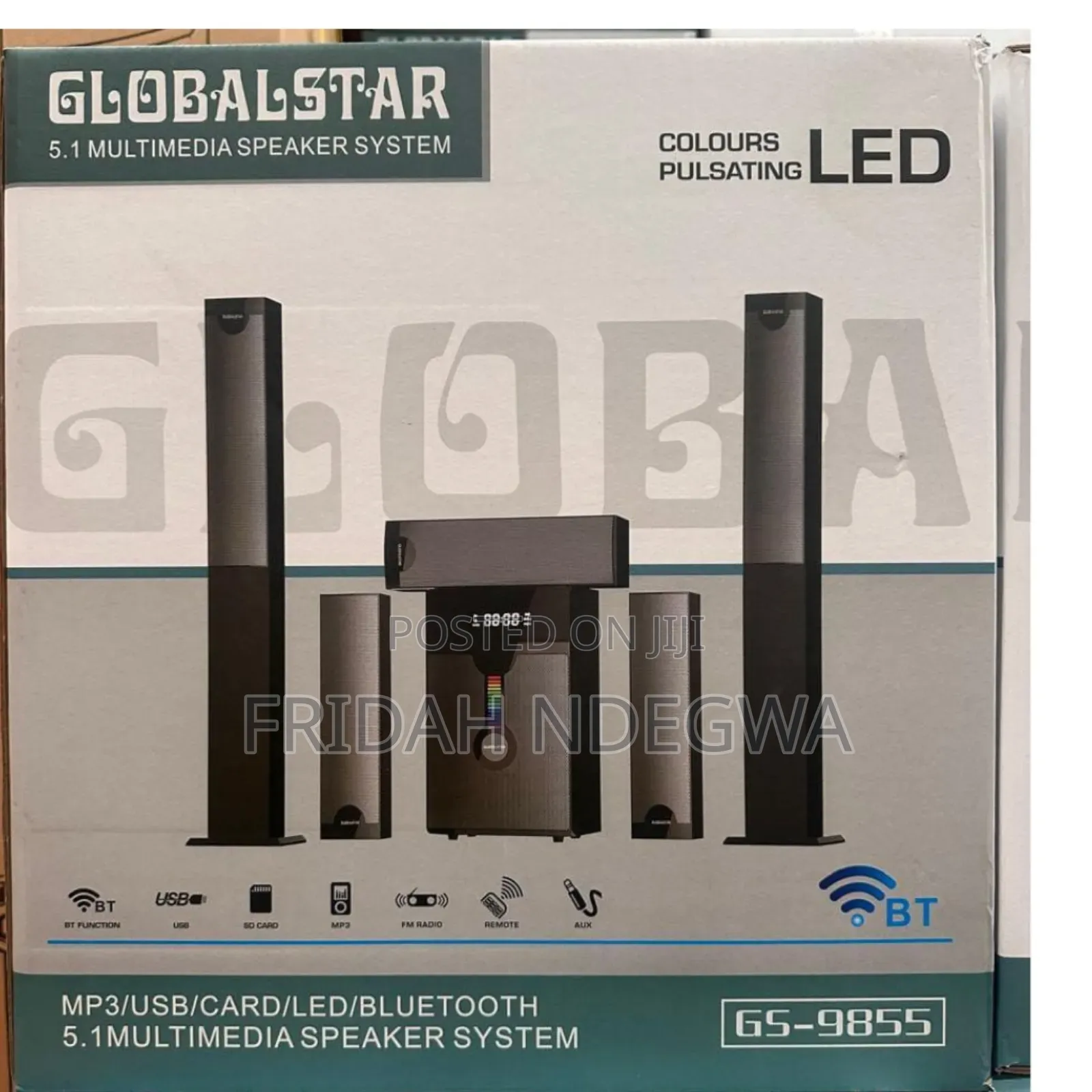 5.1ch Globalstar Multimedia System
Woofer